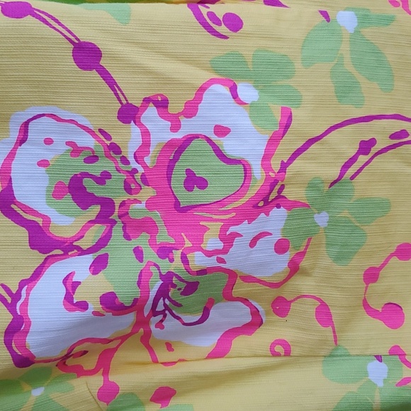Lilly Pulitzer Delia shift in southernmost point - Picture 2 of 7